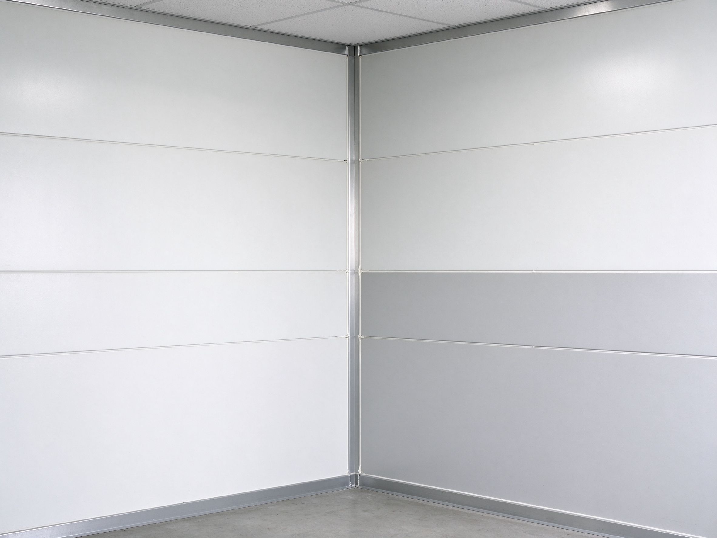 Sandwich panel wall surface and joints with trim details (illustrative concept image)