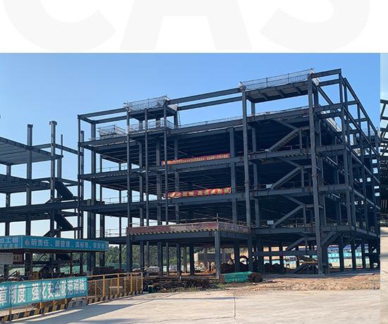 Guangdong Yixian Biotechnology High-End Manufacturing Plant Project - Project Site