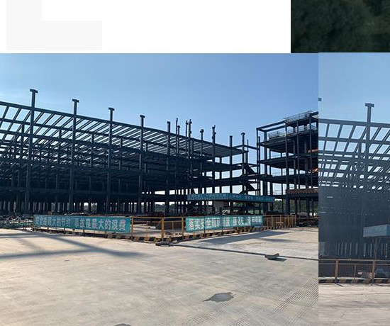 Guangdong Yixian Biotechnology High-End Manufacturing Plant Project - Project Site